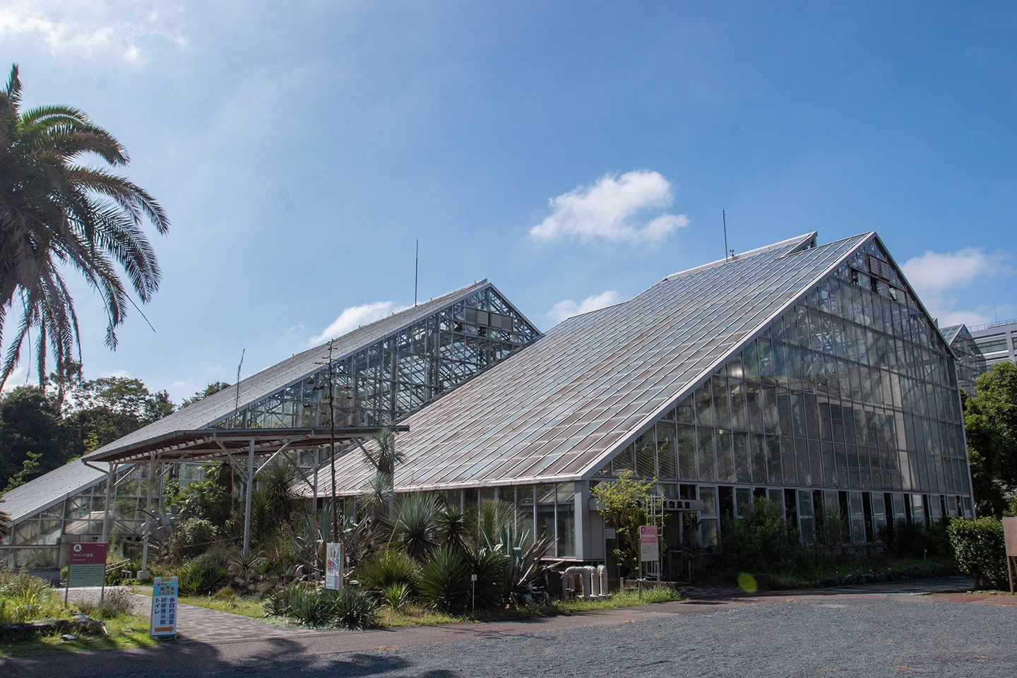 🌳 국립과학박물관 쓰쿠바실험식물원 이미지 3